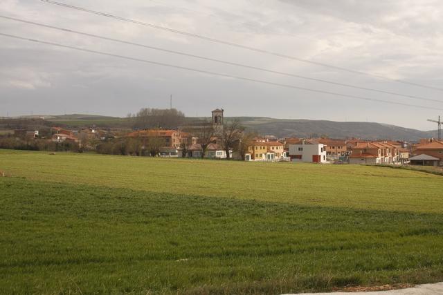 BUNIEL